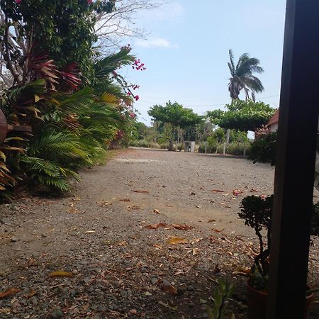 Cabanas Martina Surf Playa Guanico Pedregal Dış mekan fotoğraf