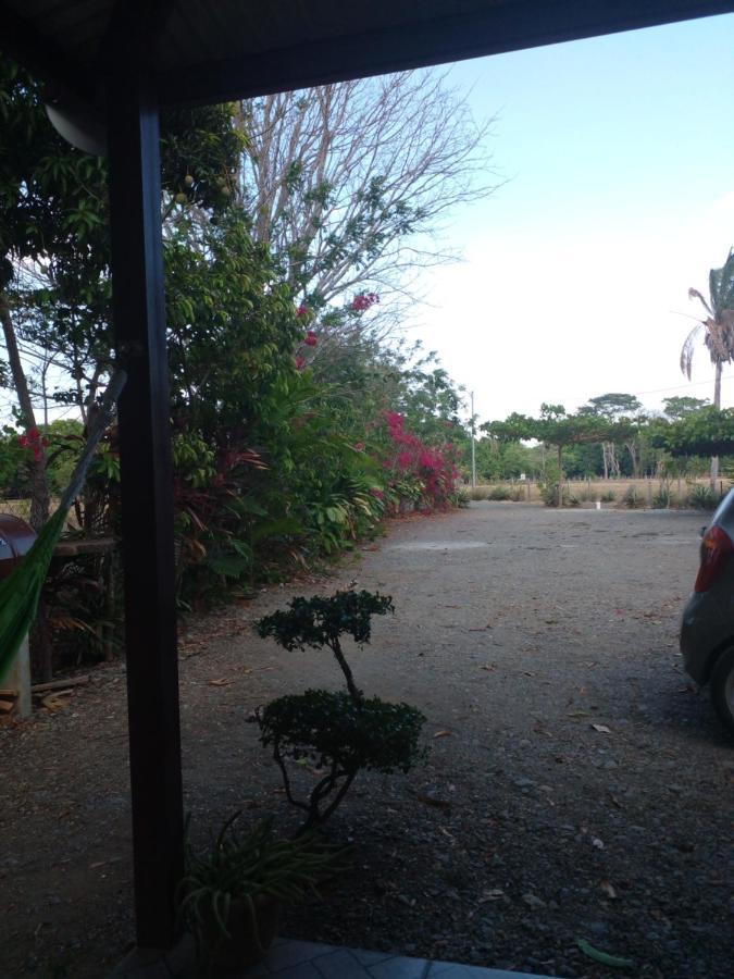 Cabanas Martina Surf Playa Guanico Pedregal Dış mekan fotoğraf